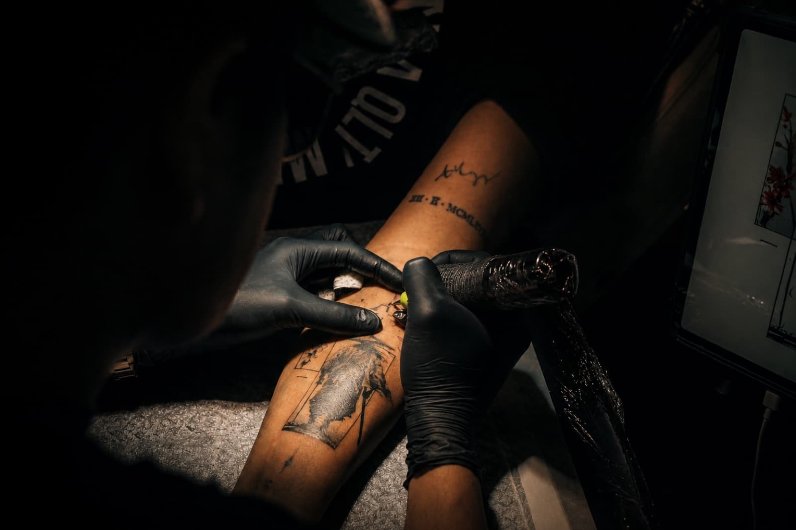 Gorillaz Tattoo Art — aftercare Tattoo session in progress at Gorillaz Tattoo Art